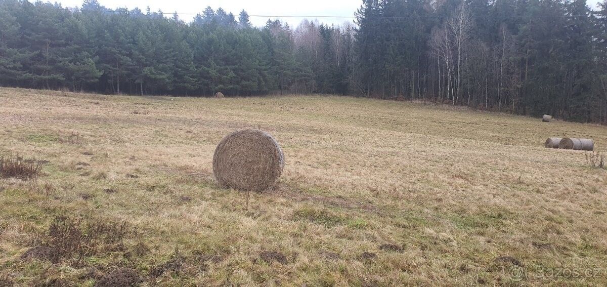 Ostatní, Křižany, 463 53 - 1