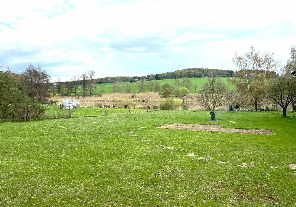 Prodej pozemek pro bydlení - Všeruby - 5
