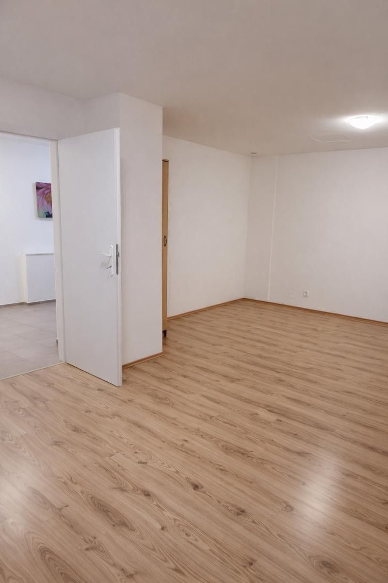 Pronájem byt 1+1 - Družstevní, Praha, 38 m²