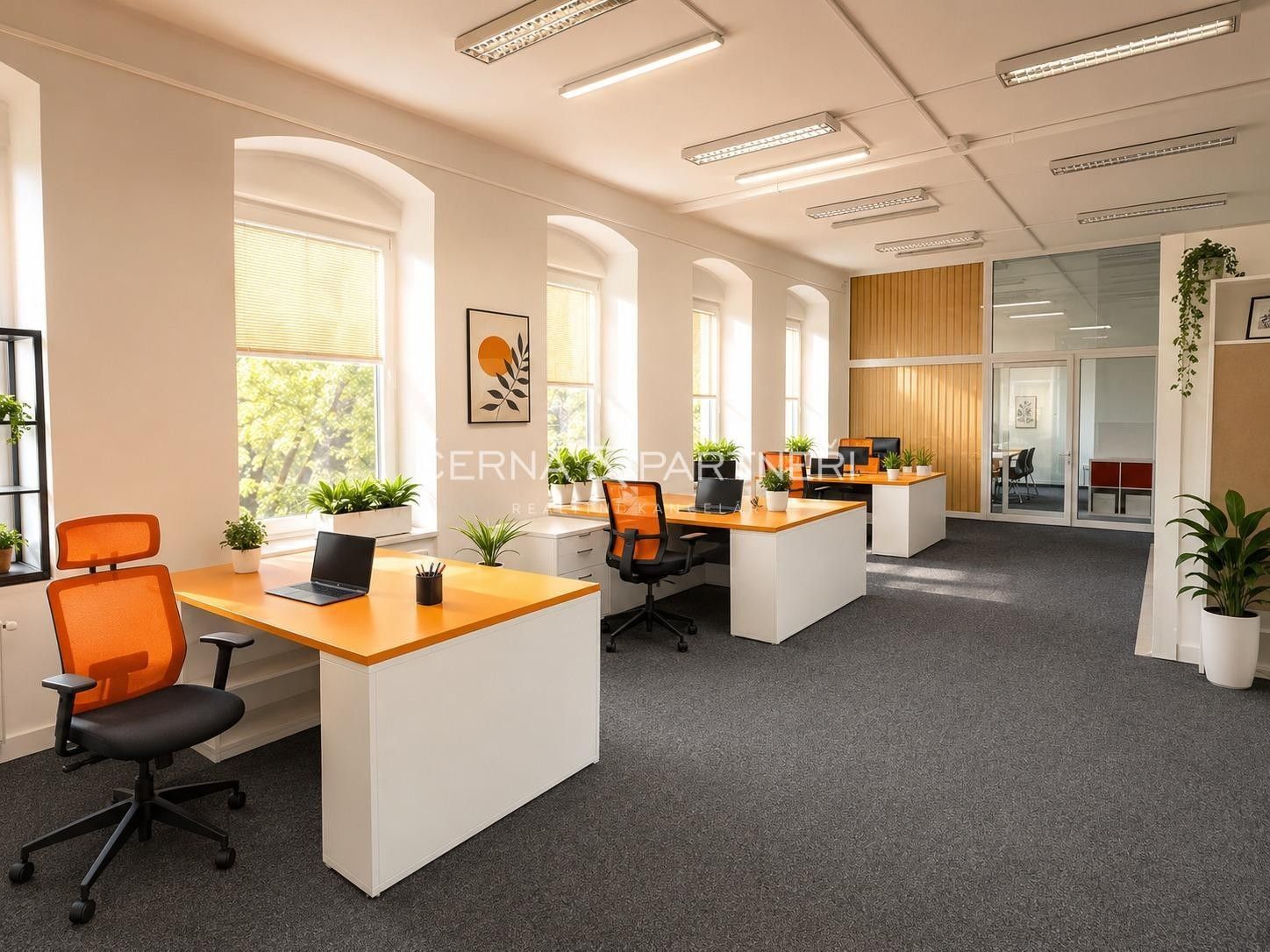 Kancelář · 2 070 m² · Spojenecká  , Teplice - 4