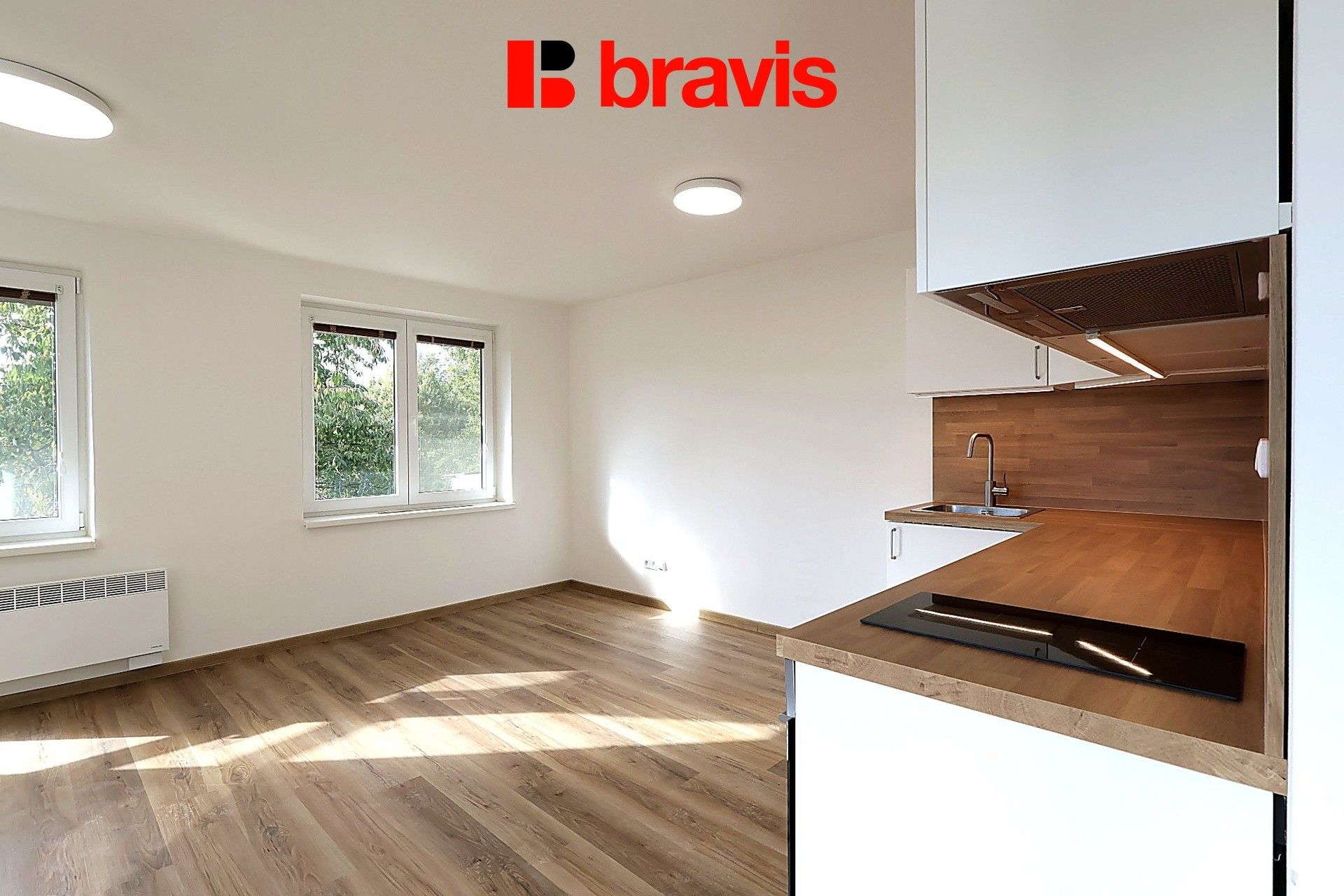 1+kk, Brno, 39 m² - 2