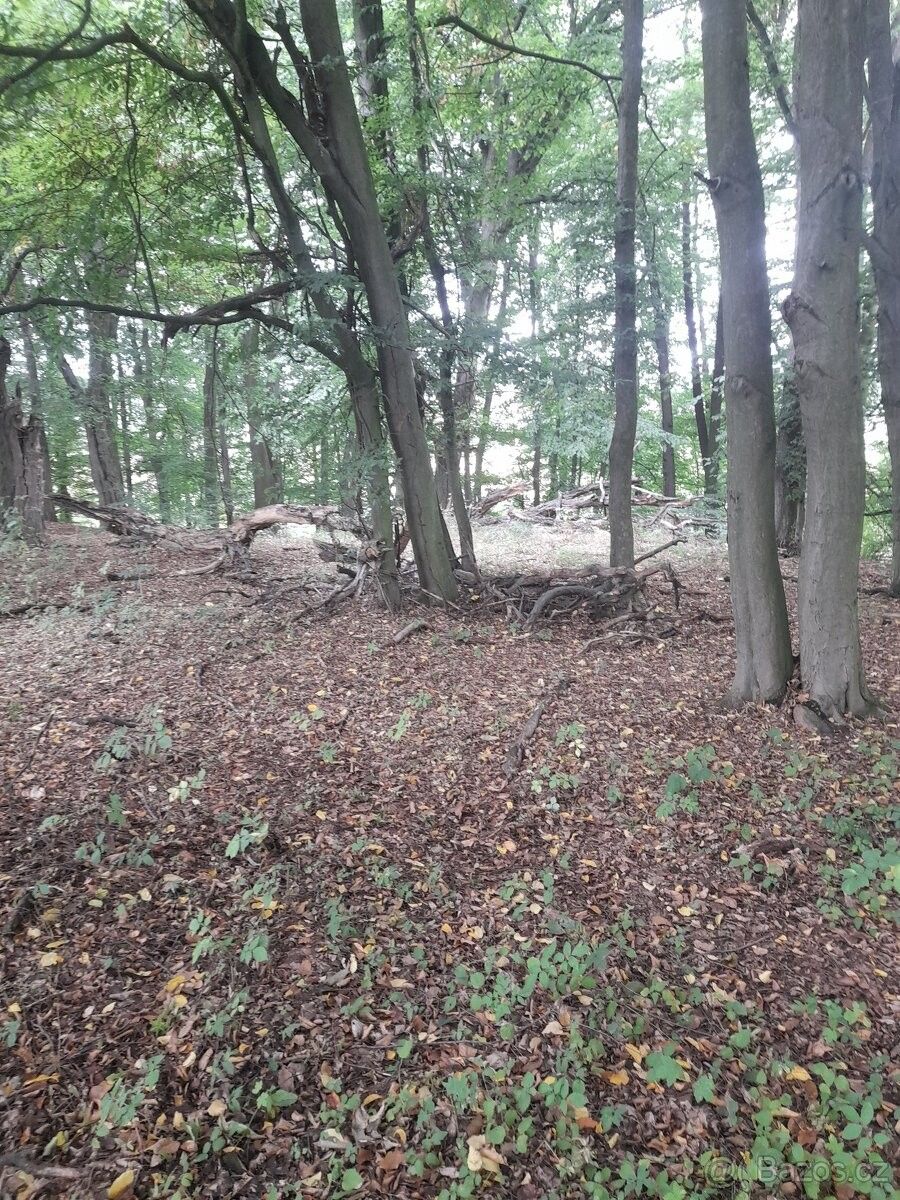Pozemek pro bydlení · Kostelec nad Orlicí, 517 41 - 3