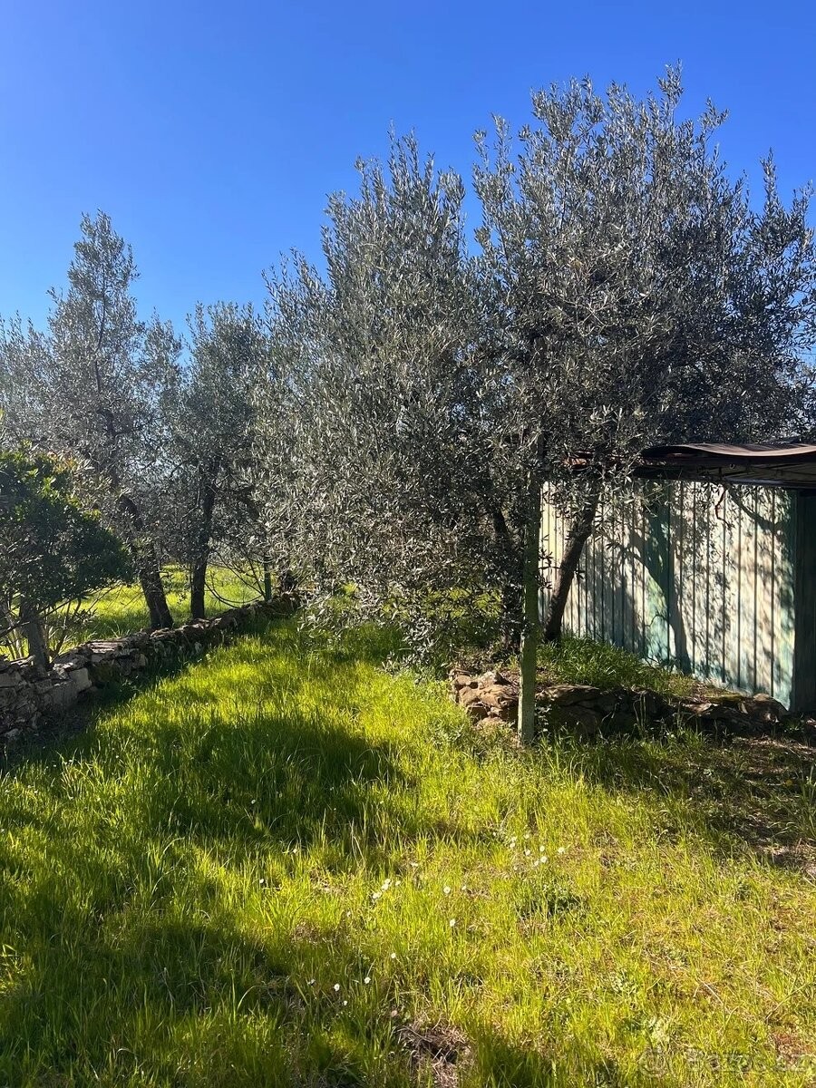 Prodej pozemek pro bydlení - Horažďovice, 341 01 - 5
