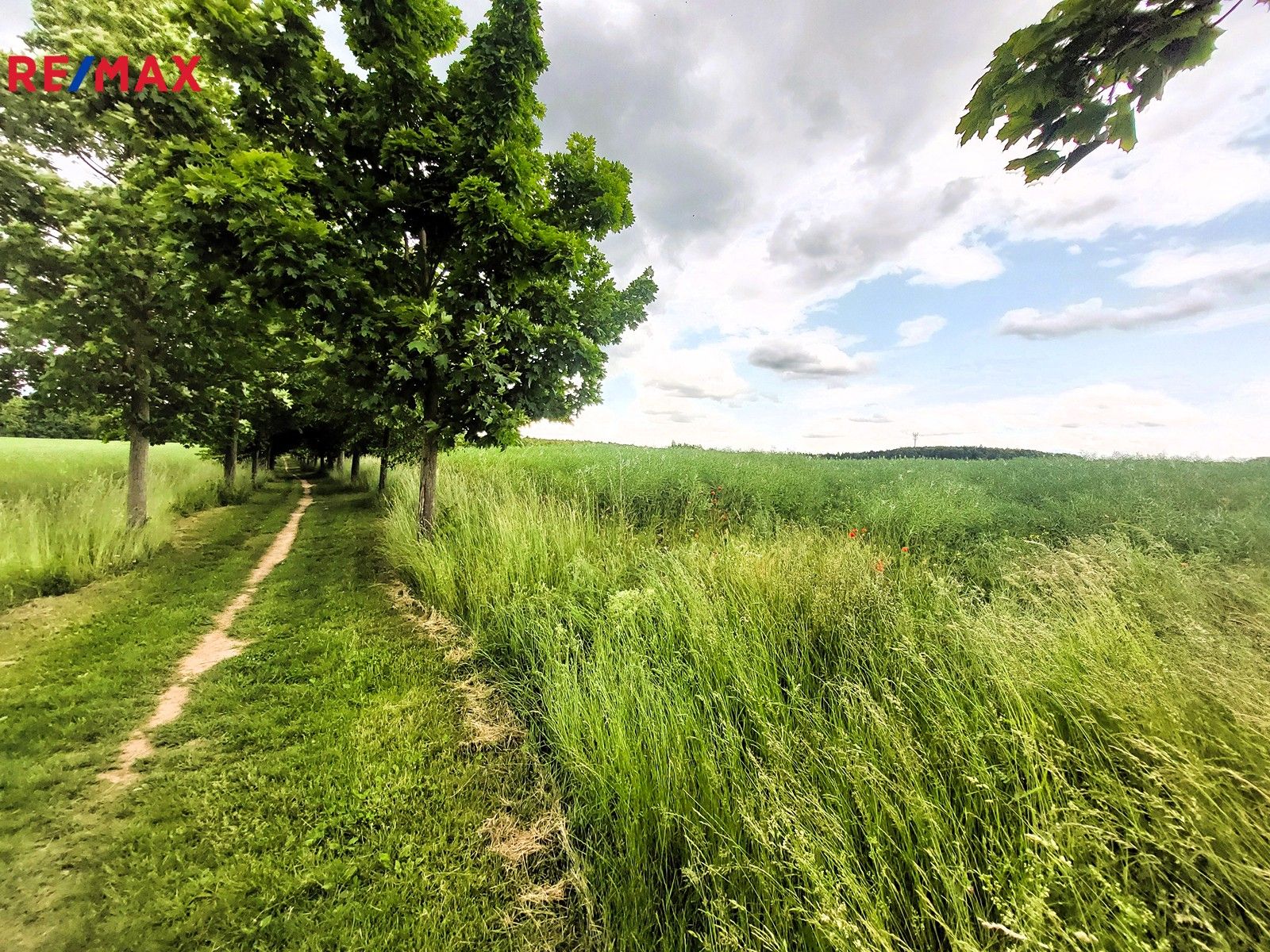 Zemědělské pozemky, Praha, 34 m²