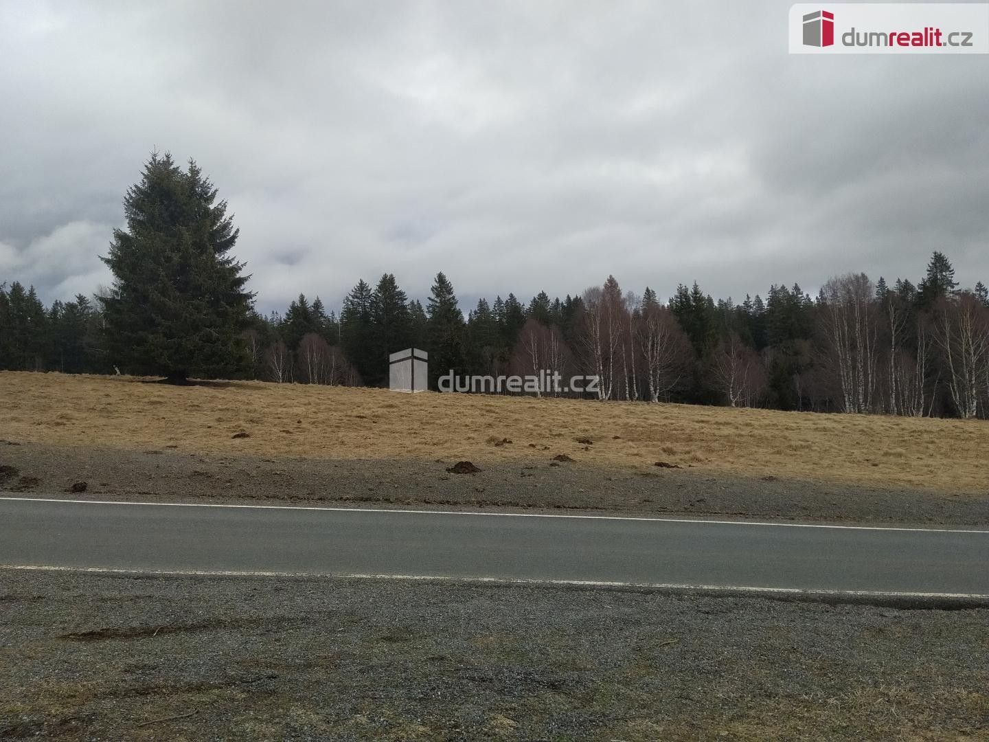 Prodej louka - Horská Kvilda, 1 321 m² - 5