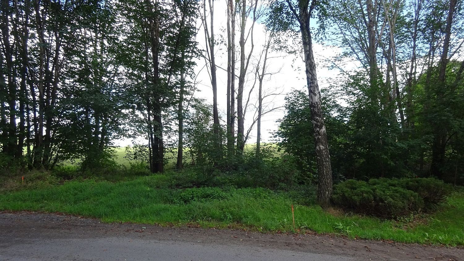 Stavební pozemek, Vitice – pohled 4