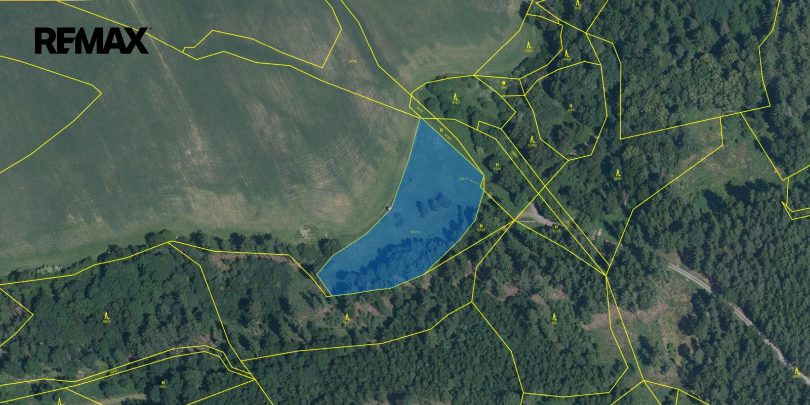 Prodej zemědělský pozemek - Planá, 290 475 m² - 5