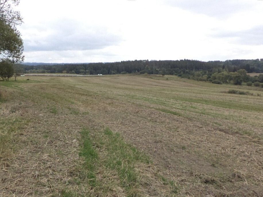 Zemědělské pozemky, Lom u Tachova, okres Tachov, Plzeňský kraj - 1