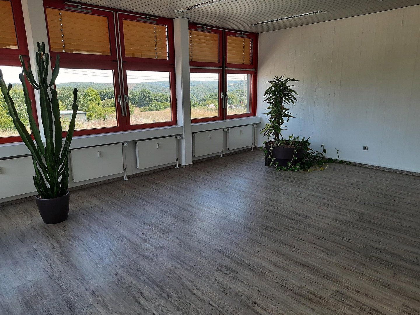 Kancelář · 320 m² · Bühlinger Strassse 56, , Porýní-Falc - 4