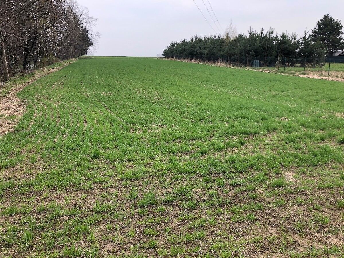 Pozemky pro bydlení, Bohuslavice u Hlučína, 747 19 - 1