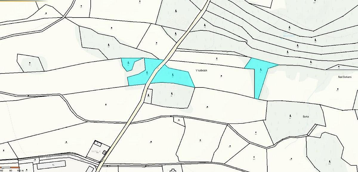 Les · Proseč - Česká Bříza, okres Chrudim, Pardubický kraj - 3