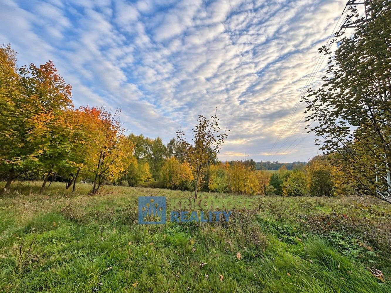 Pozemek pro bydlení, 4 756 m²