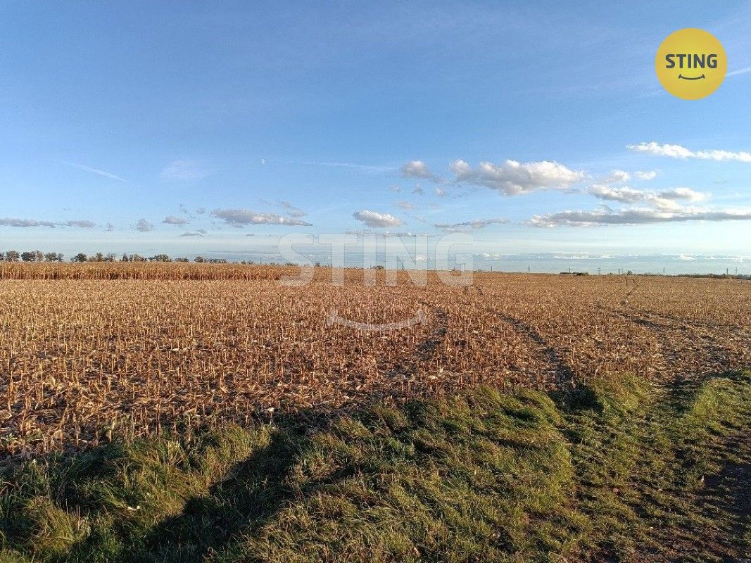 Prodej zemědělský pozemek - Moravský Žižkov, 9 m²