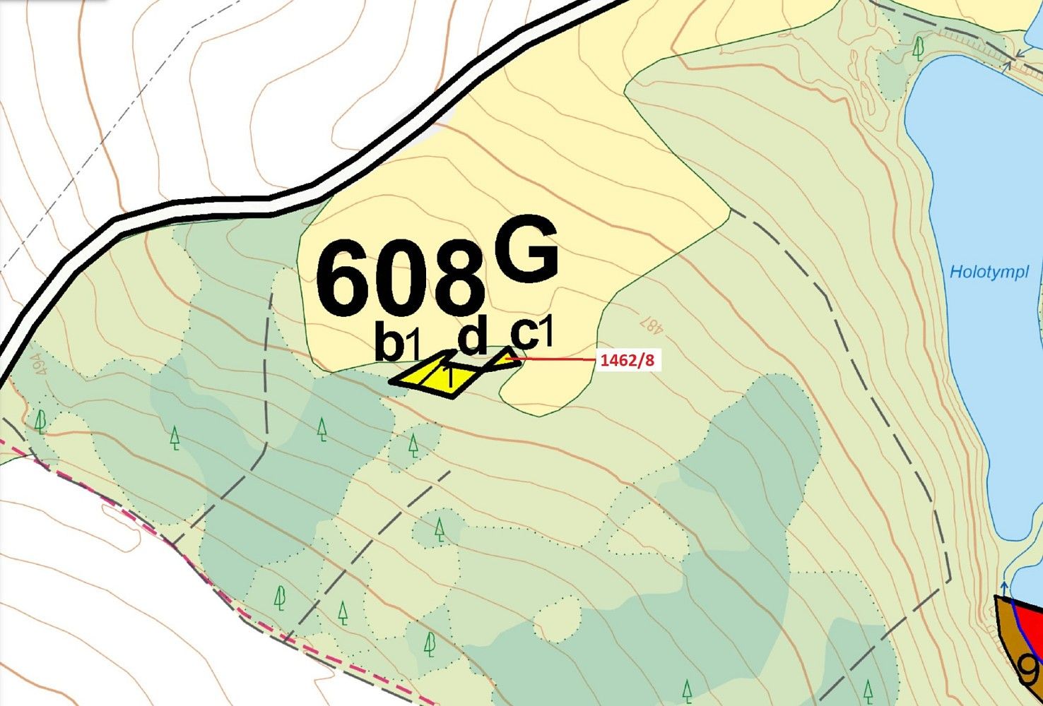 Les · Dobronín, okres Jihlava, Kraj Vysočina - 3