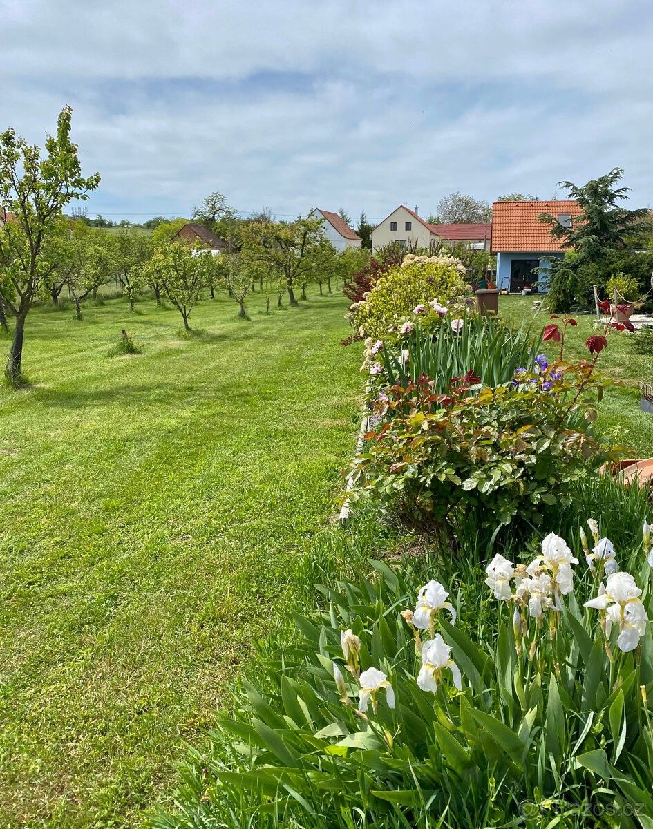 Prodej pozemek - Znojmo, 669 02, 2 210 m²