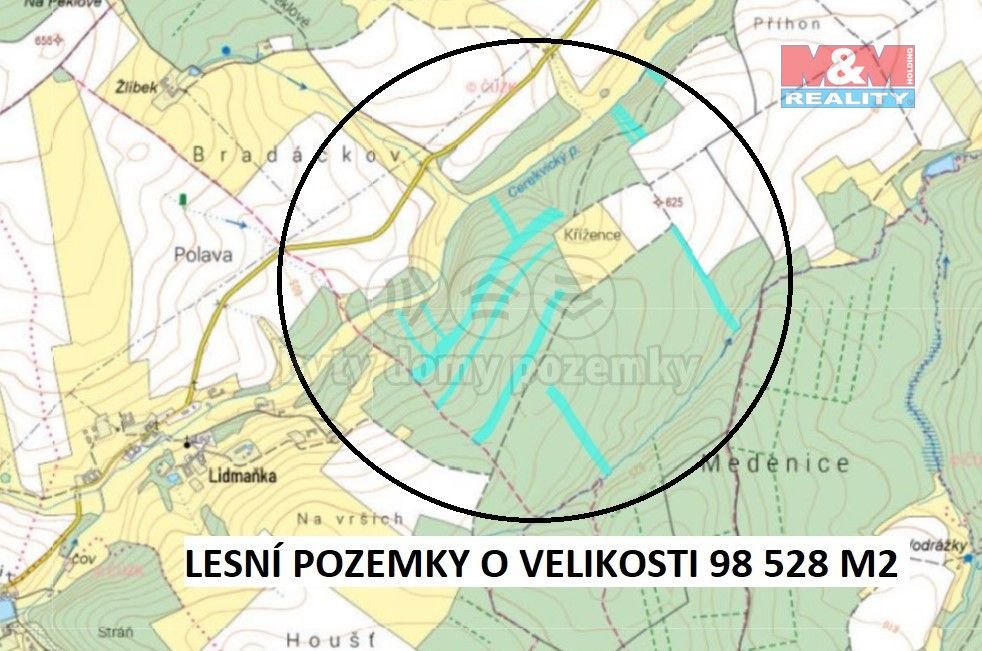 Lesy, Pelhřimov, 393 01, 98 528 m²