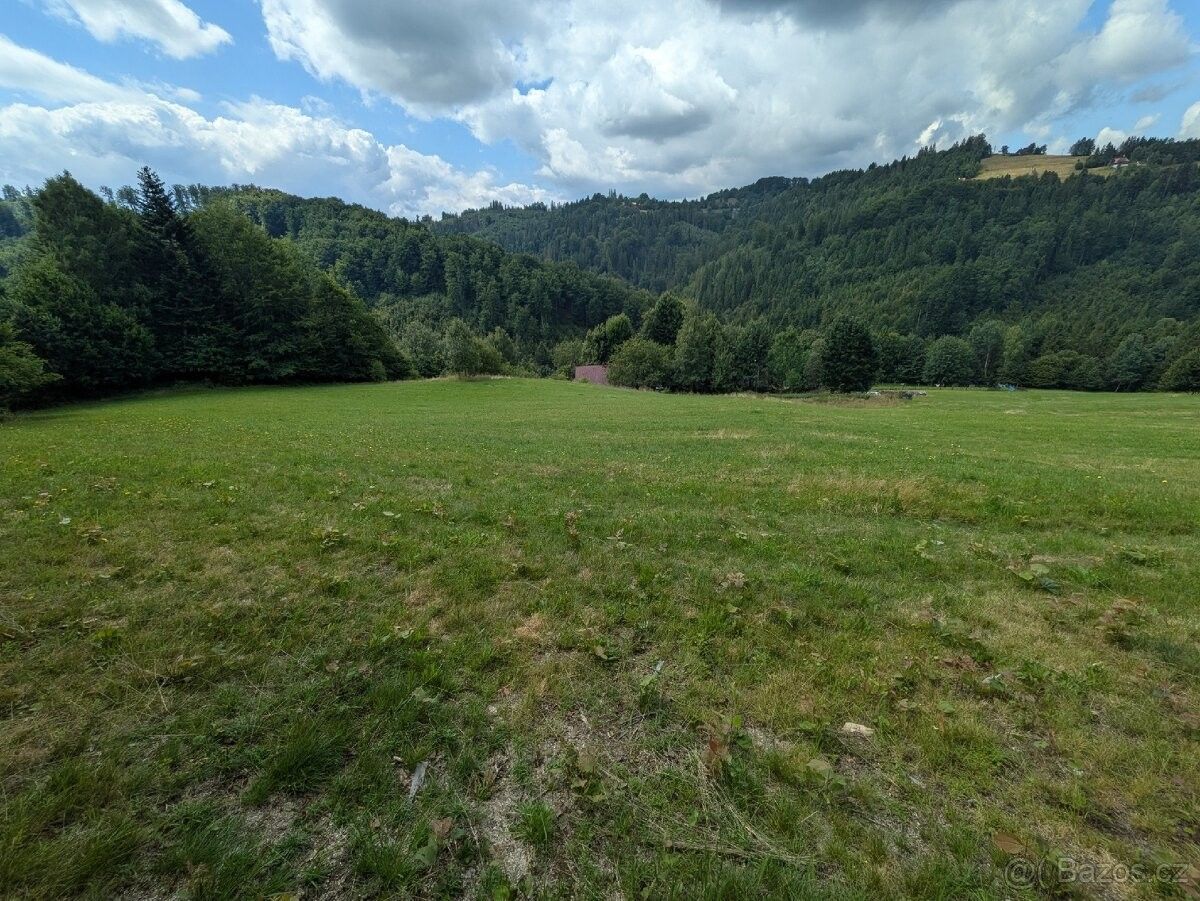 Prodej pozemek pro bydlení - Bystřice nad Olší, 739 95 - 5