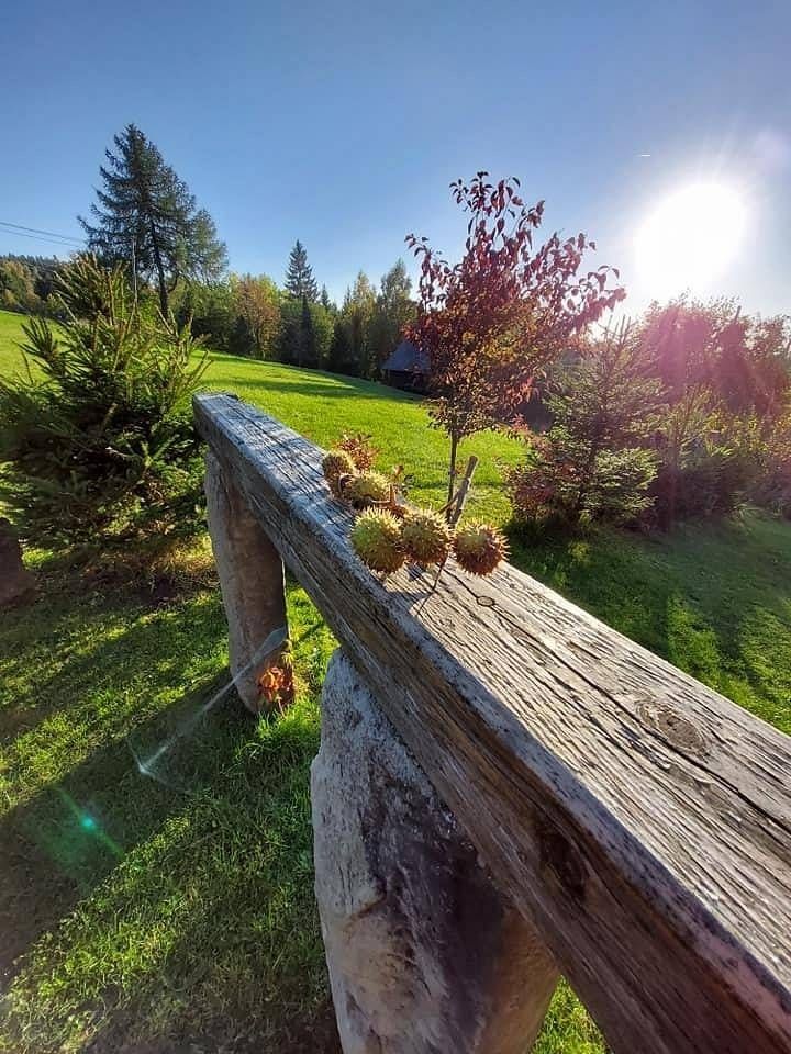 Chaty, Příchovice u Kořenova, Liberecký kraj - 2
