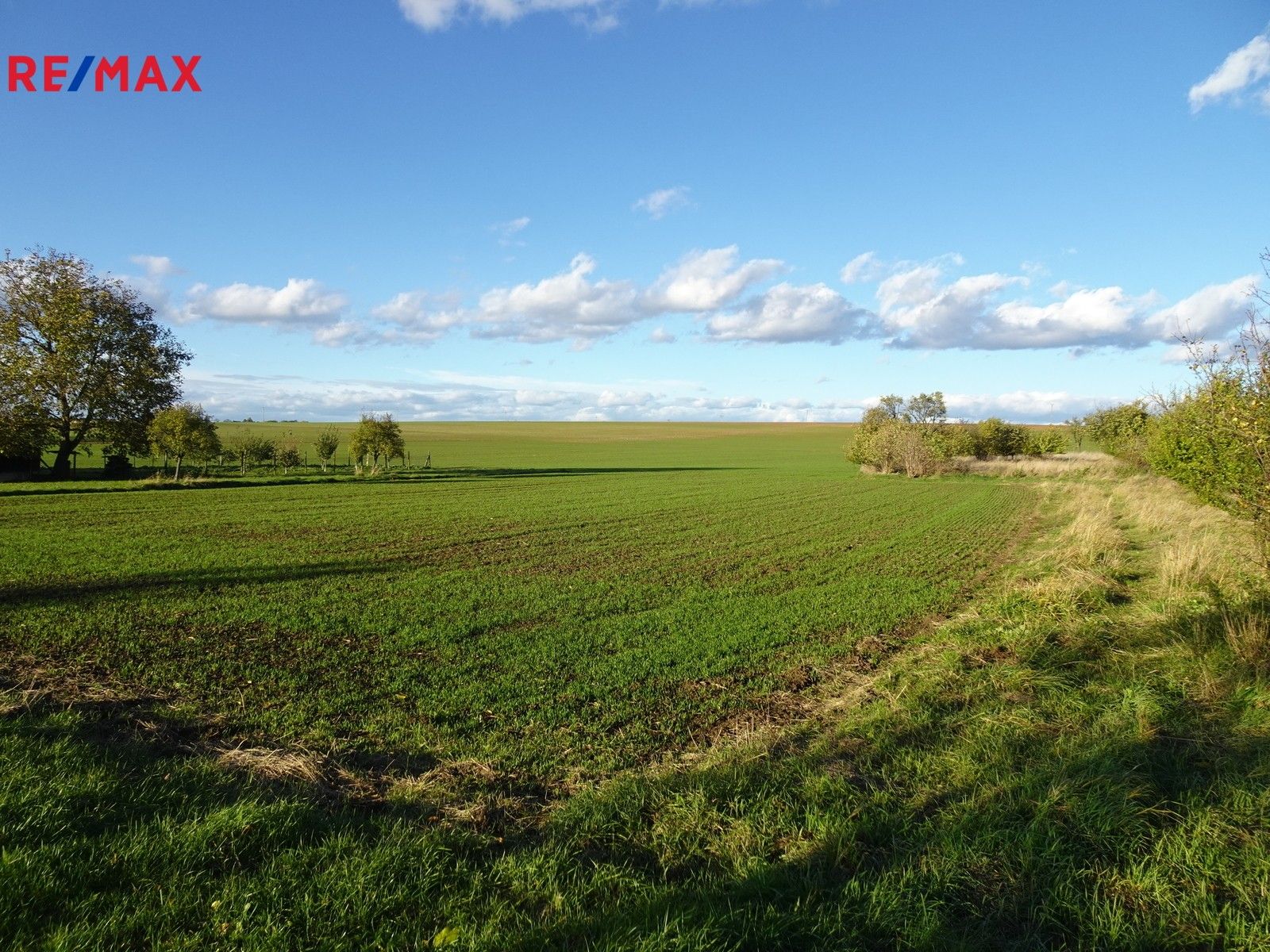 Pozemky pro bydlení, Medlice, 14 m²