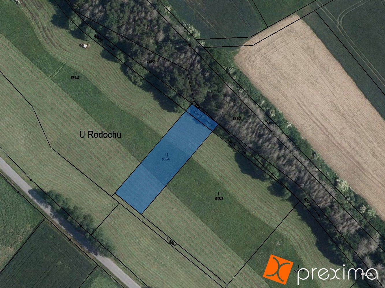 Les · Krasonice, okres Jihlava, Kraj Vysočina - 3