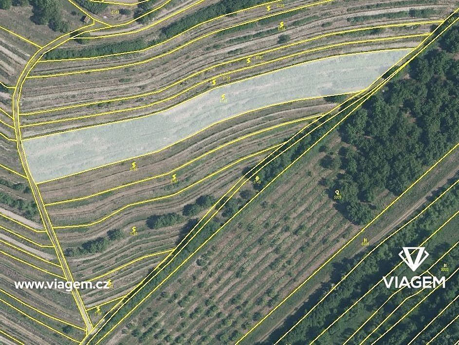 Zemědělský pozemek, 4 619 m²