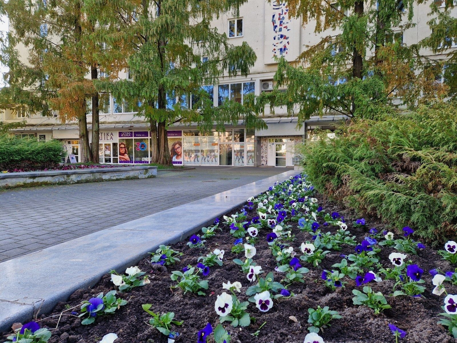 Pronájem obchodní prostory - nám. Republiky, Havířov - Havířov-město, Moravskoslezský kraj, 66 m² - 5