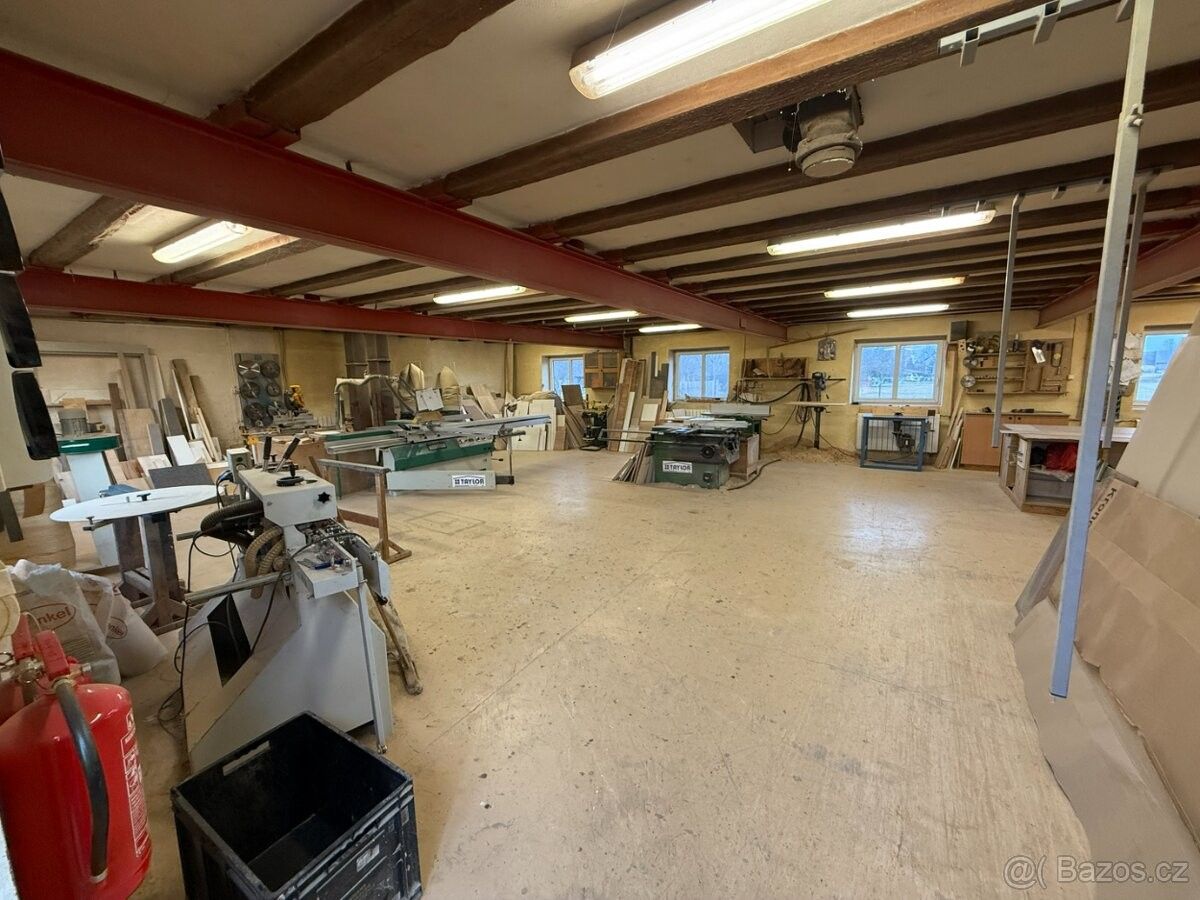 Pronájem ostatní - Město Albrechtice, 793 95