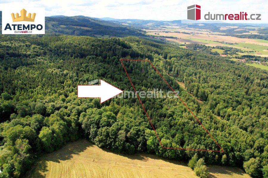 Lesy, Chlum, Křemže, 11 426 m²