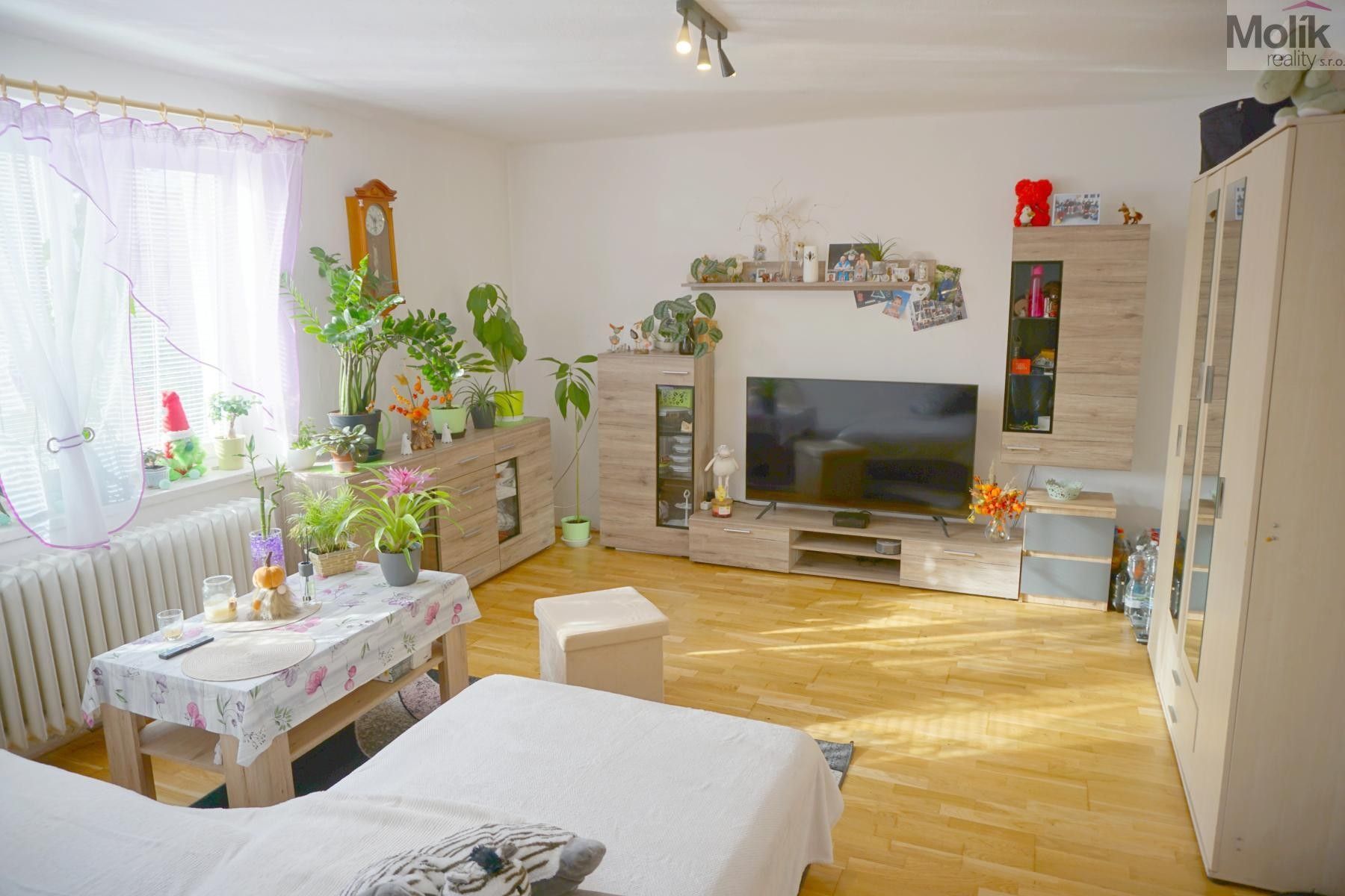 Prodej byt 3+1 - Prof. Krátkého, Louny, 63 m² - 2
