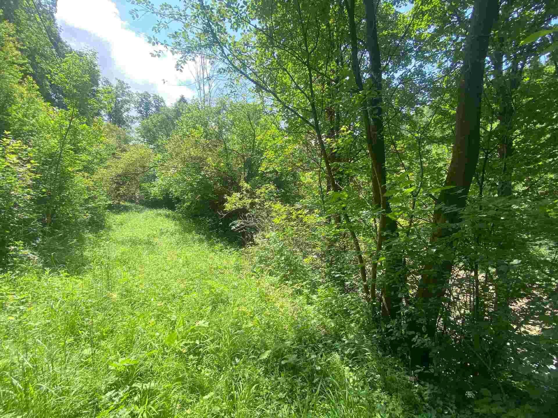 Pozemek · 933 m² · Malá Bystřice - 3