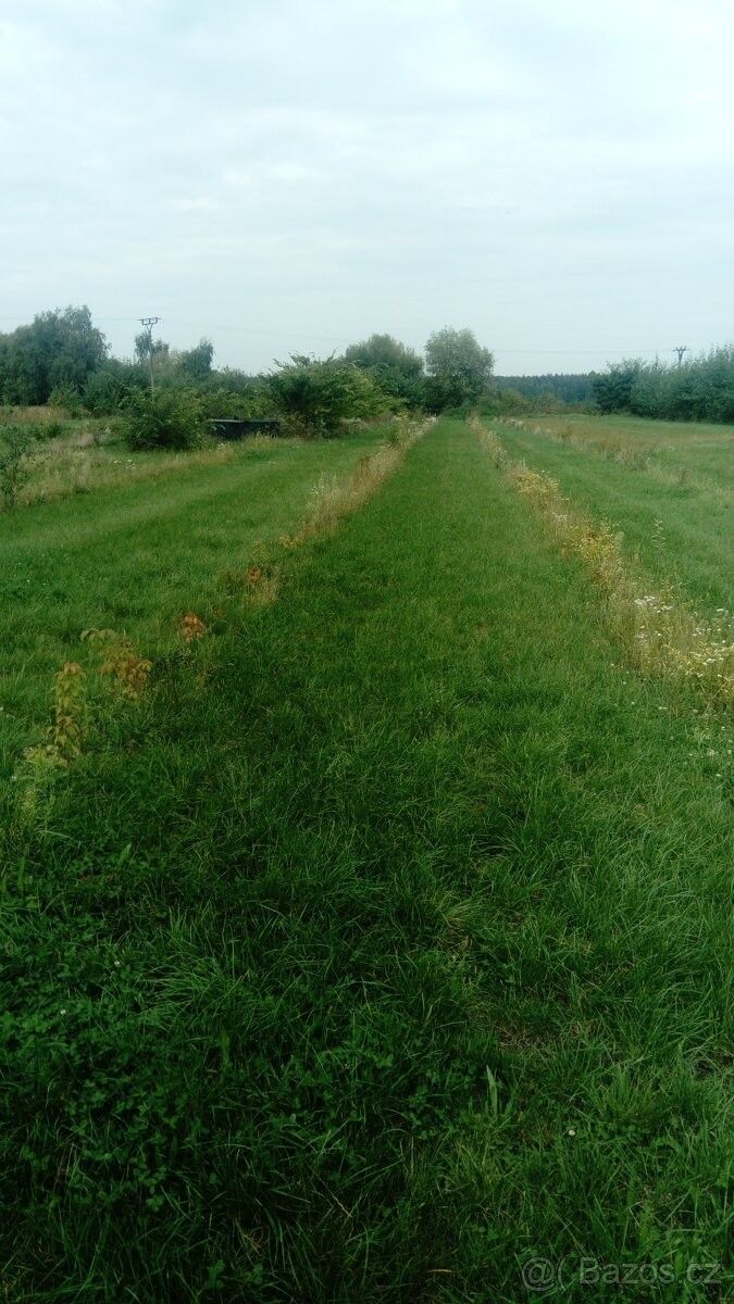 Pozemky pro bydlení, Hlavečník, 533 15