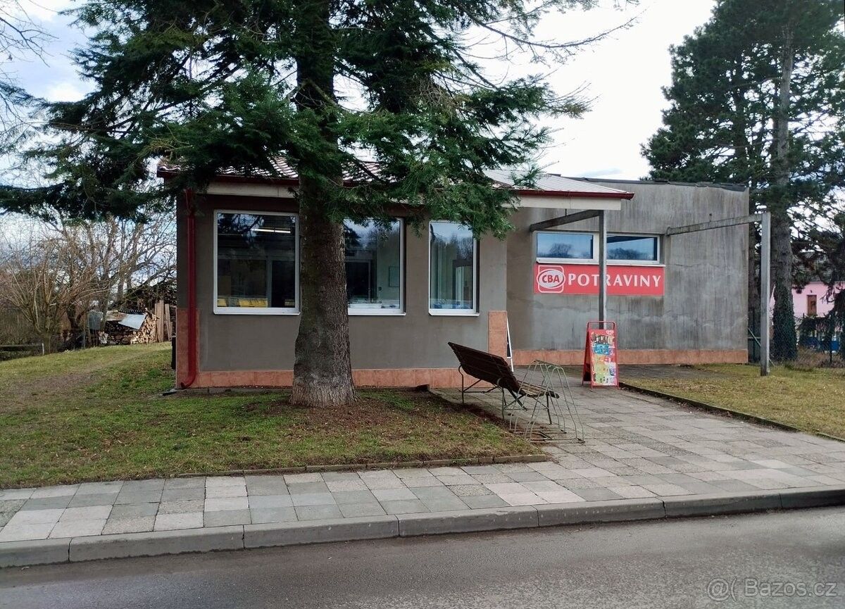 Obchodní prostory, Dolní Kounice, 664 64