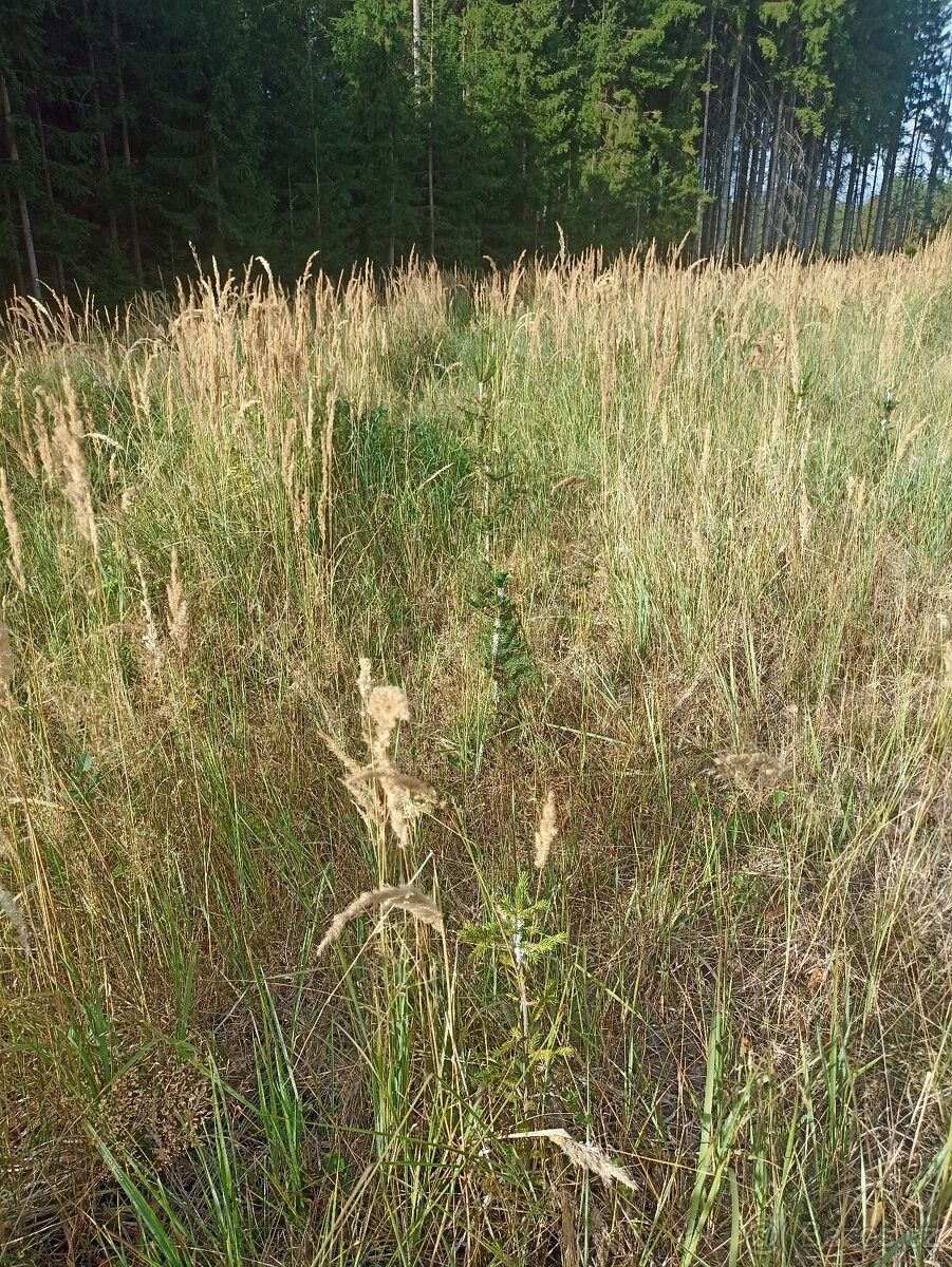 Pozemek pro bydlení · Radostín nad Oslavou, 594 44 - 4