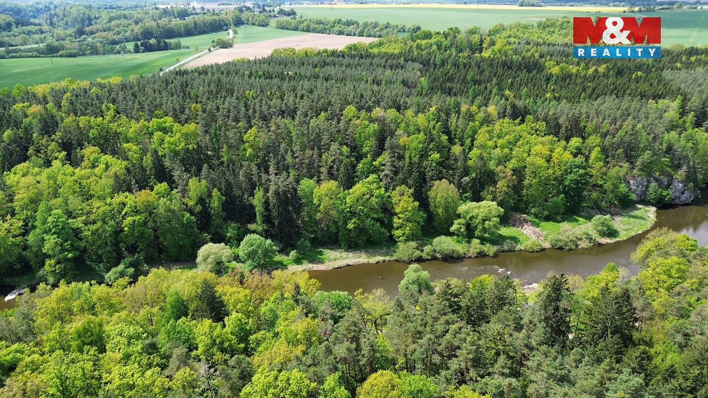 Lesy, Černýšovice, okres Tábor, Jihočeský kraj - 2