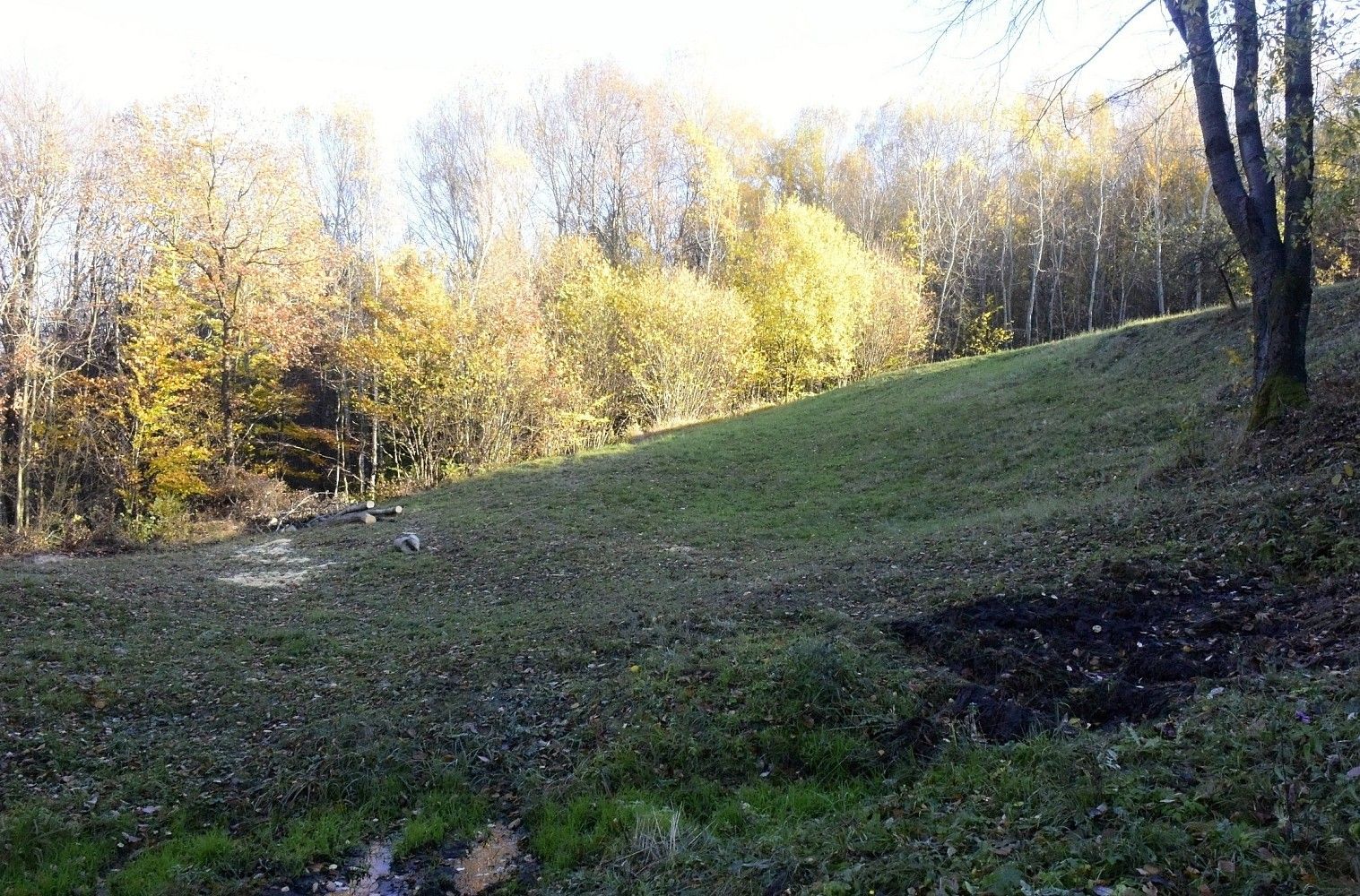 Louka · Vyškovec, okres Uherské Hradiště, Zlínský kraj - 3