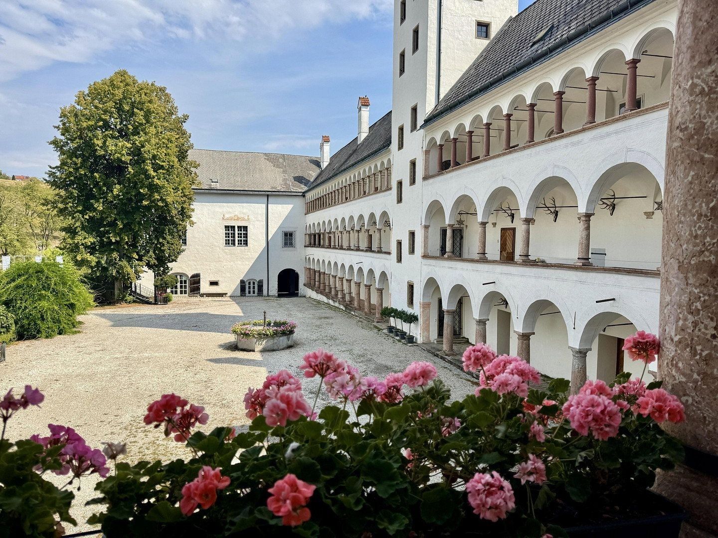 3+1, Grieskirchen Oberösterreich 4710, 148 m² - 1