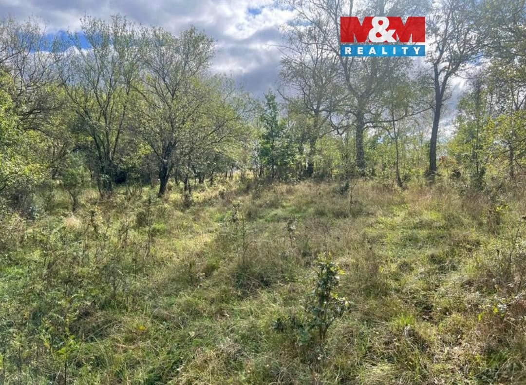 Zahrady, Netvořice, 257 44