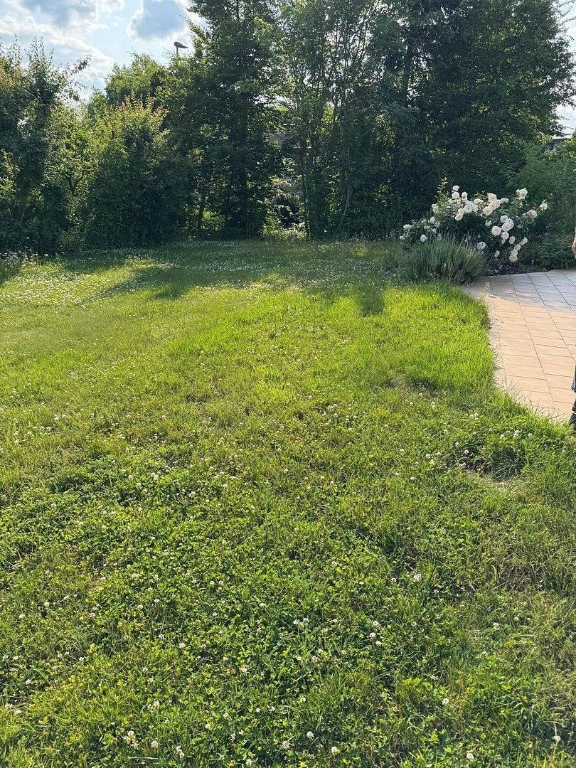 Rodinný dům · 190 m² · , Porýní-Falc - 3