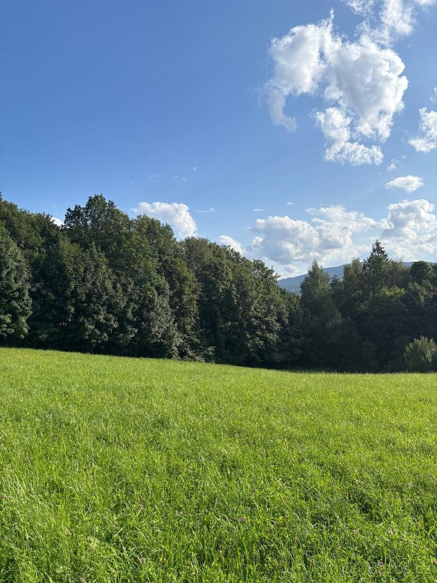 Pozemky pro bydlení, Hrádek nad Olší, 739 97 - 2
