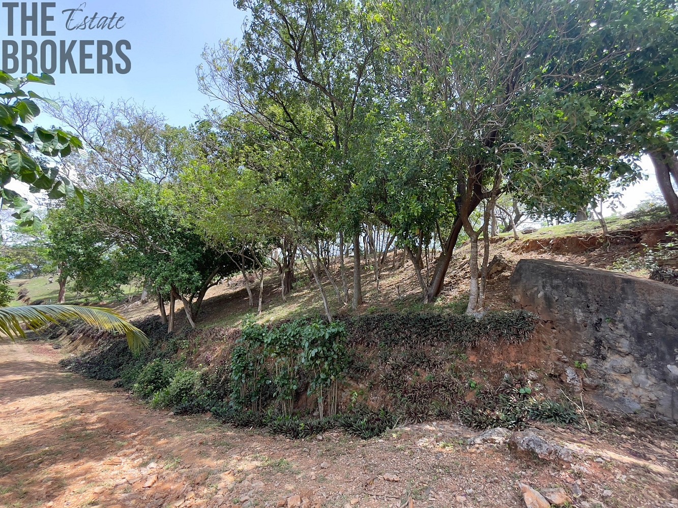 Prodej pozemek pro bydlení - Coxen Hole, Roatán, Honduras - 5