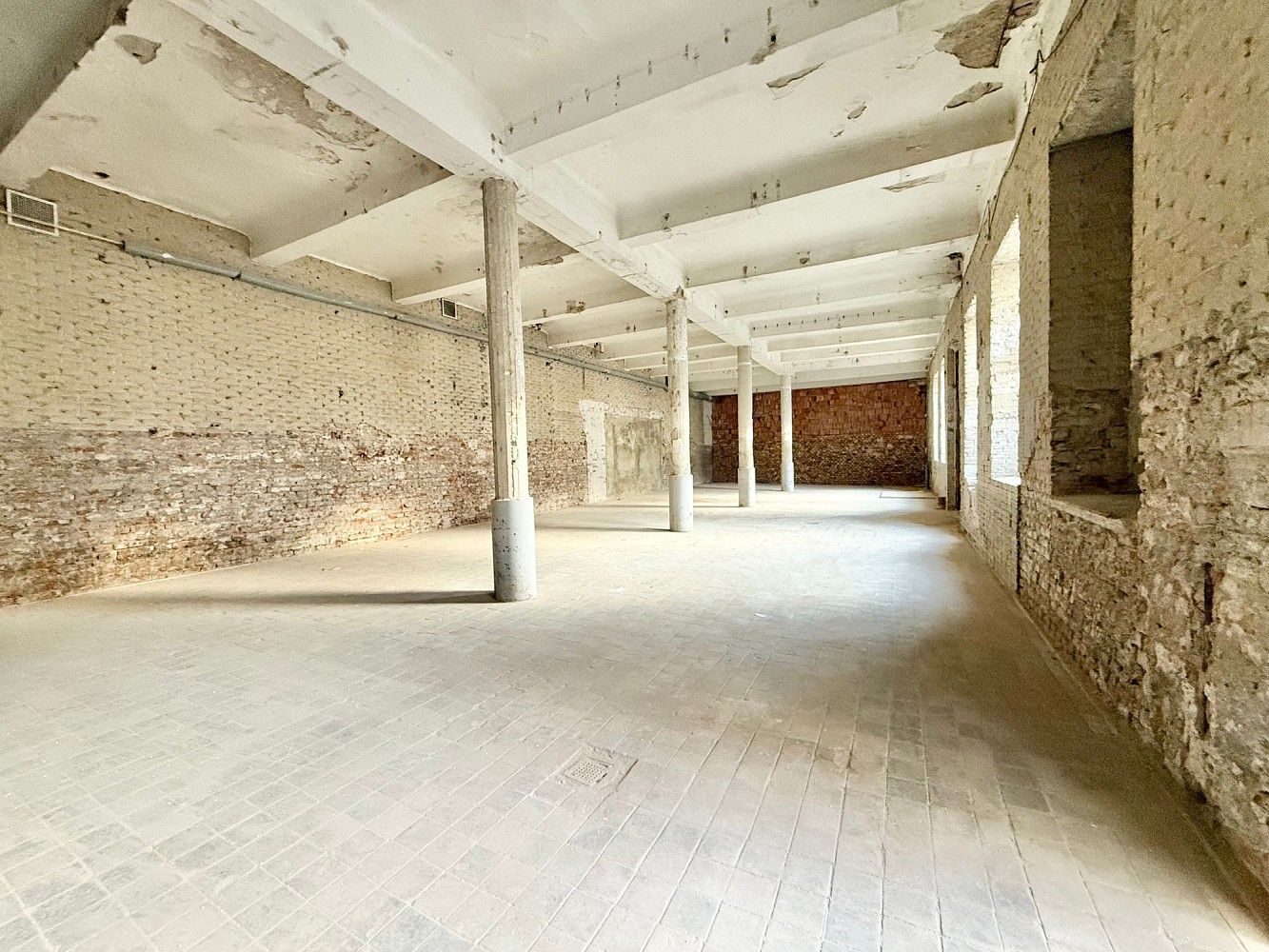 Obchodní prostory · 1 500 m² · Brno - Staré Brno, okres Brno-město, Jihomoravský kraj - 4