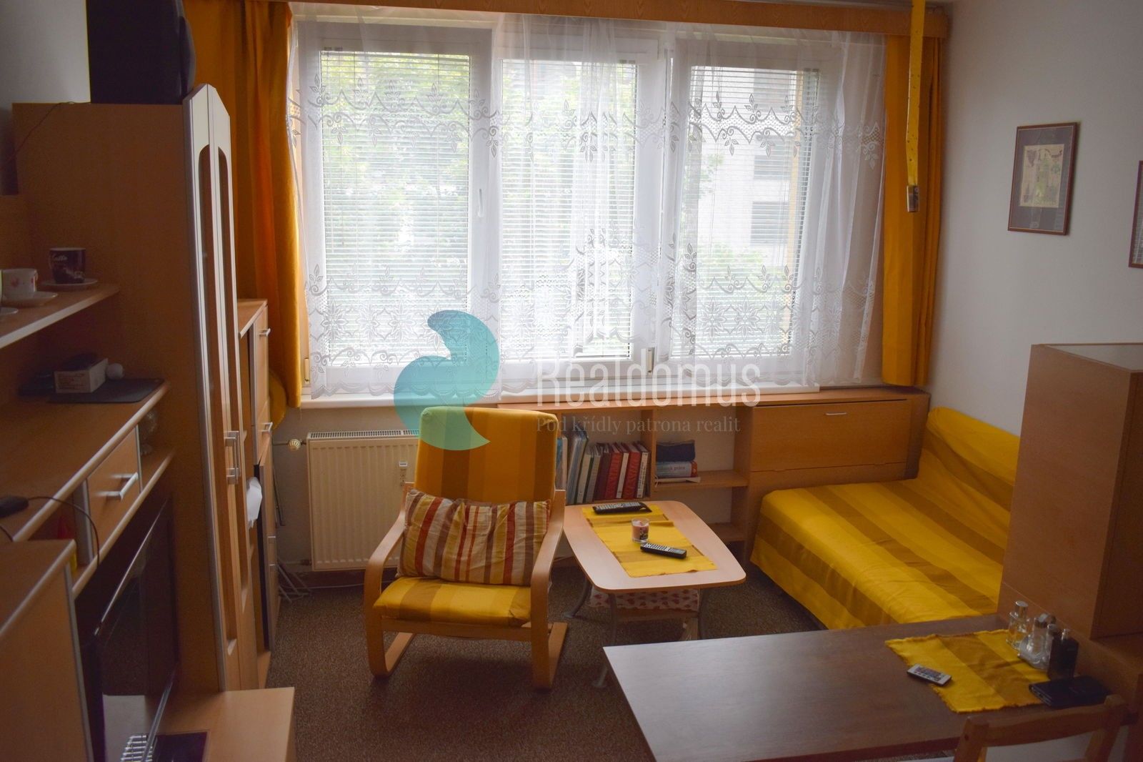 1+kk, Pekárenská, České Budějovice, 22 m²