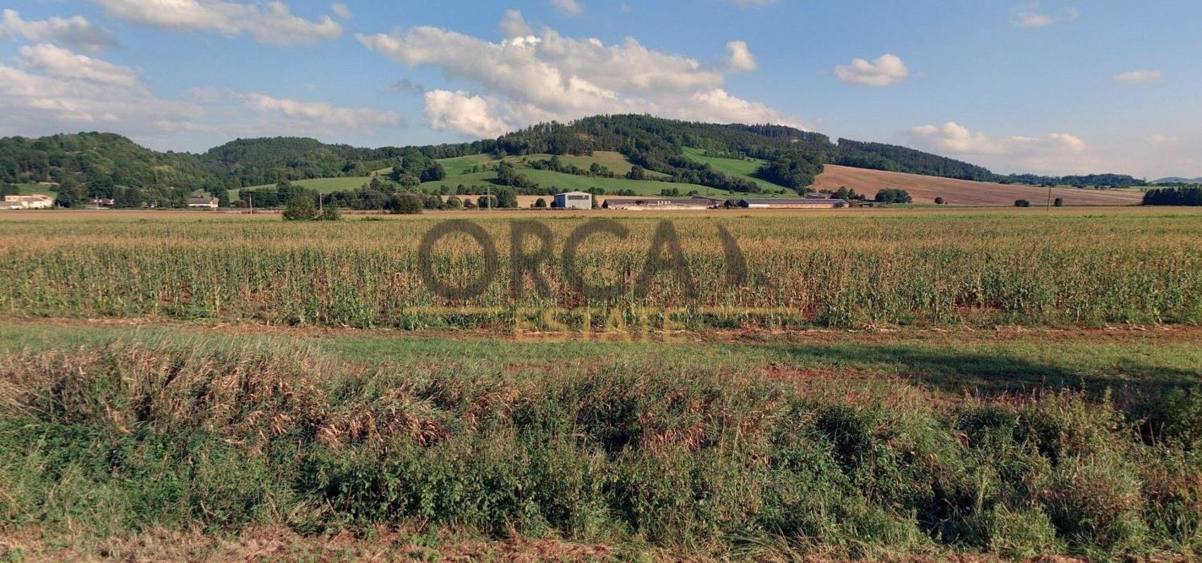 Zemědělský pozemek · Městečko Trnávka, okres Svitavy - 3