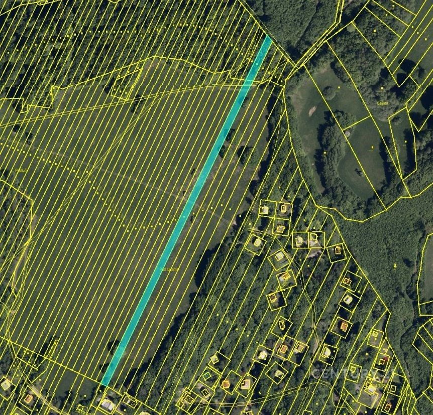 Prodej zemědělský pozemek - Nová Lhota