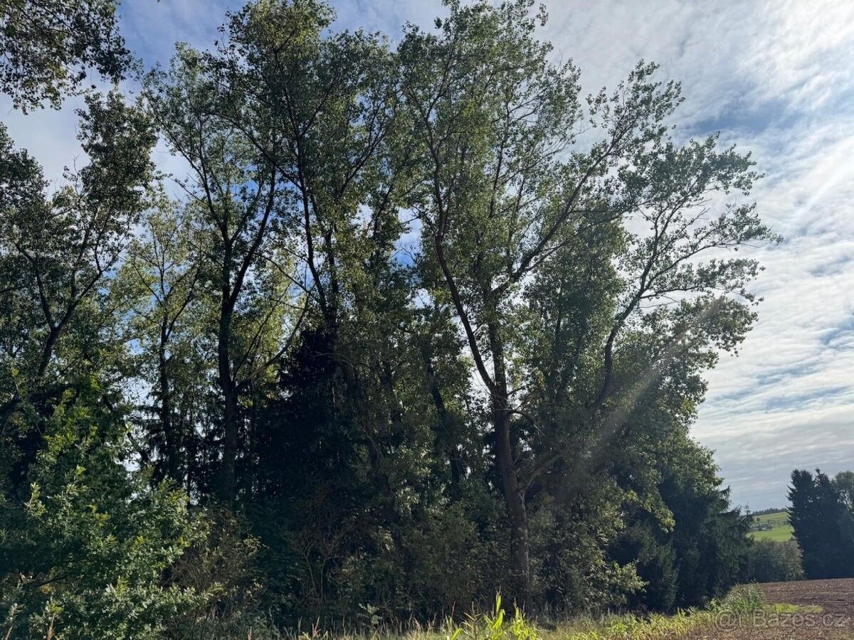 Pozemky pro bydlení, Nová Paka, 509 01