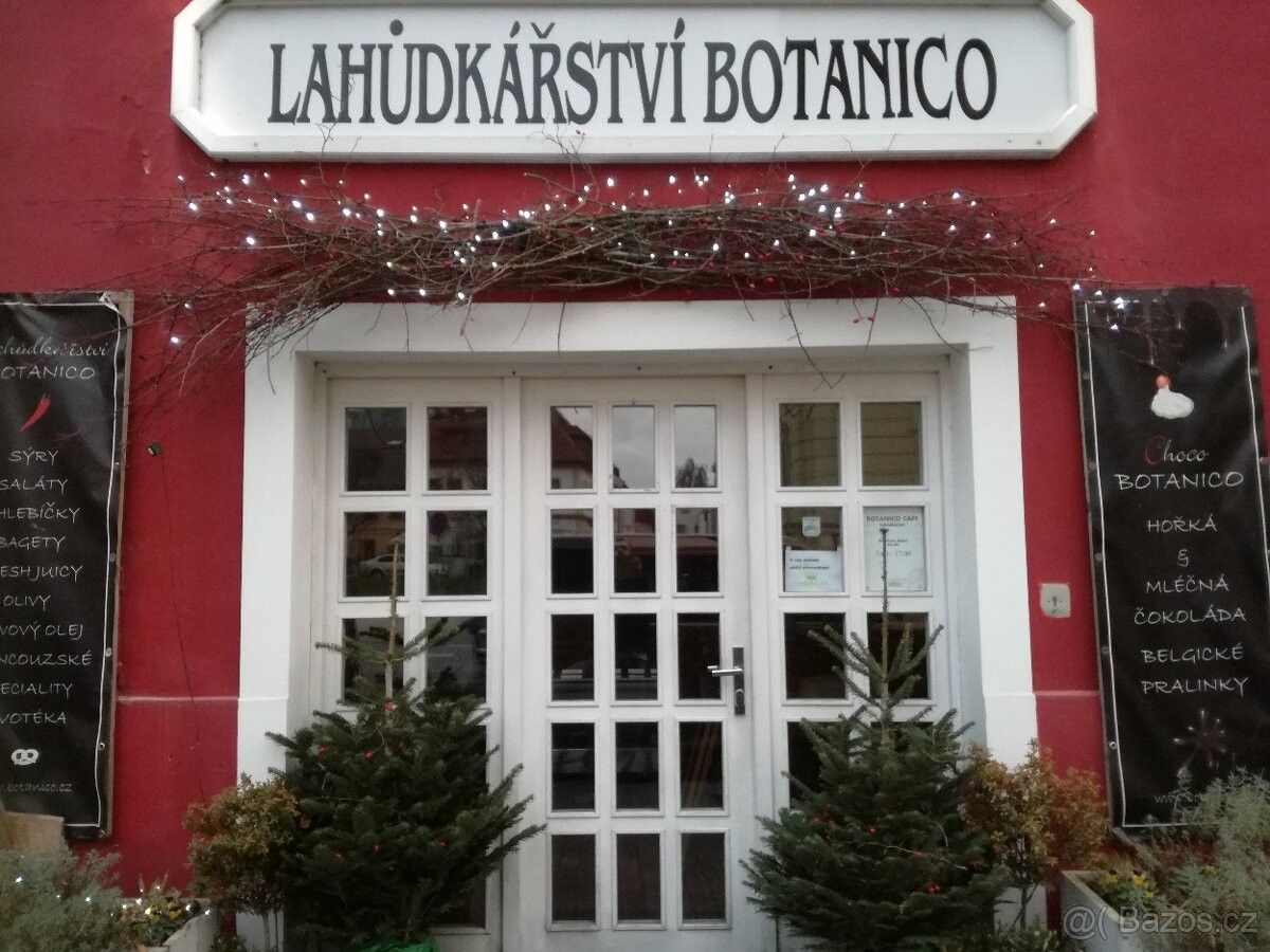 Pronájem obchodní prostory - Prostějov, 796 01 - 5