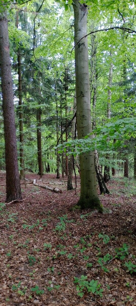 Pozemek pro bydlení · Letovice, 679 61 - 4