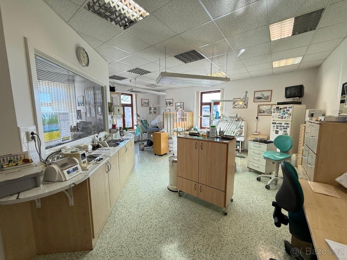 Prodej obchodní prostory - Bartoušov, 580 01