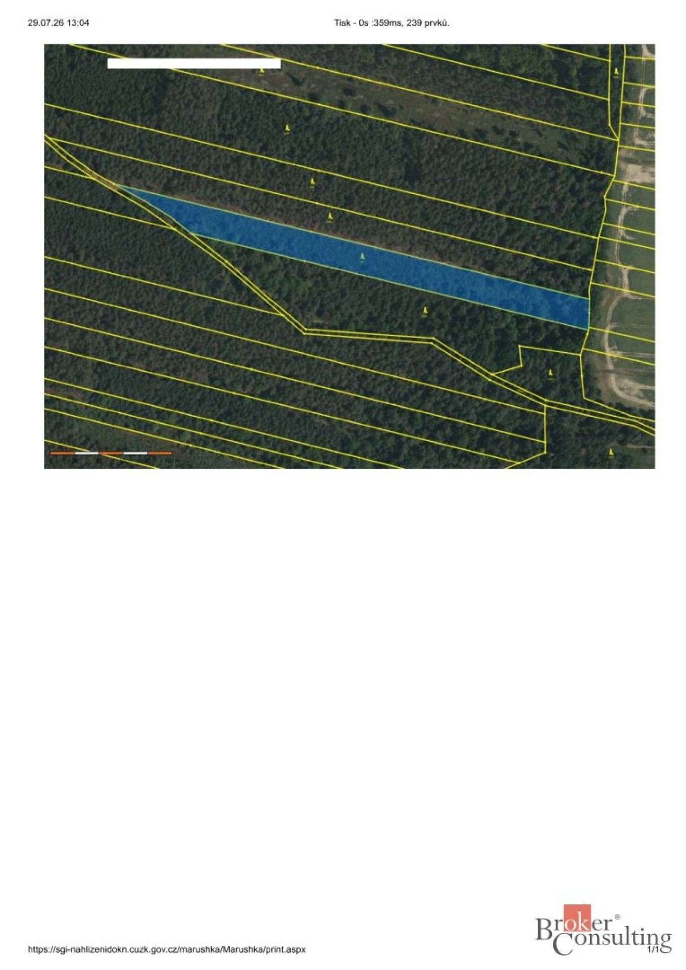 Les · 32 388 m² · Břilice, Třeboň - 4