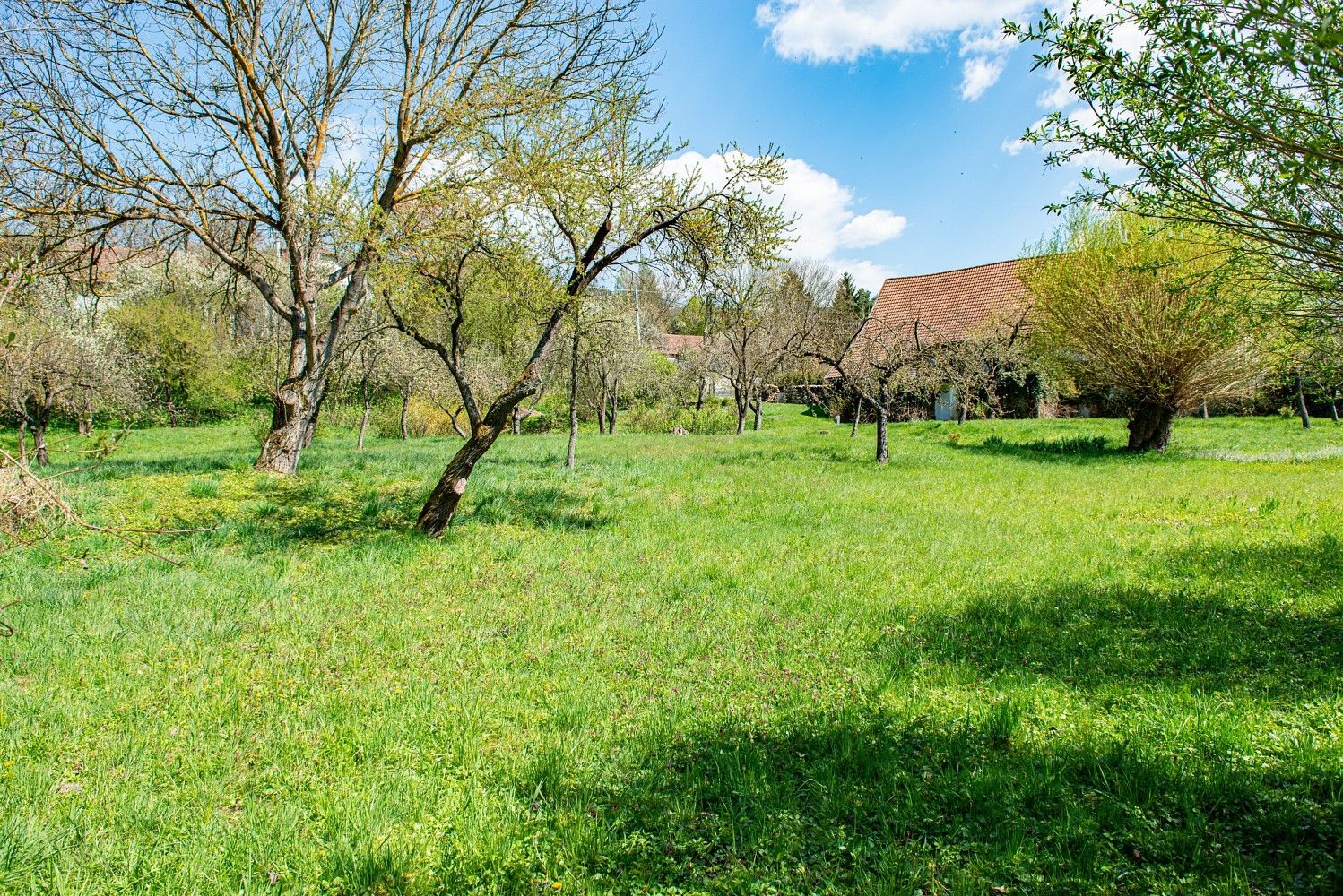 Pozemek pro bydlení · Horní Poříčí, okres Blansko, Jihomoravský kraj - 3